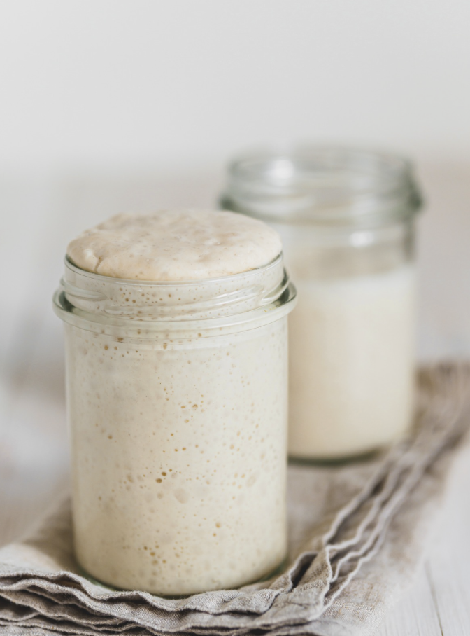 close up of two active and bubbly sourdough starters in glass jars