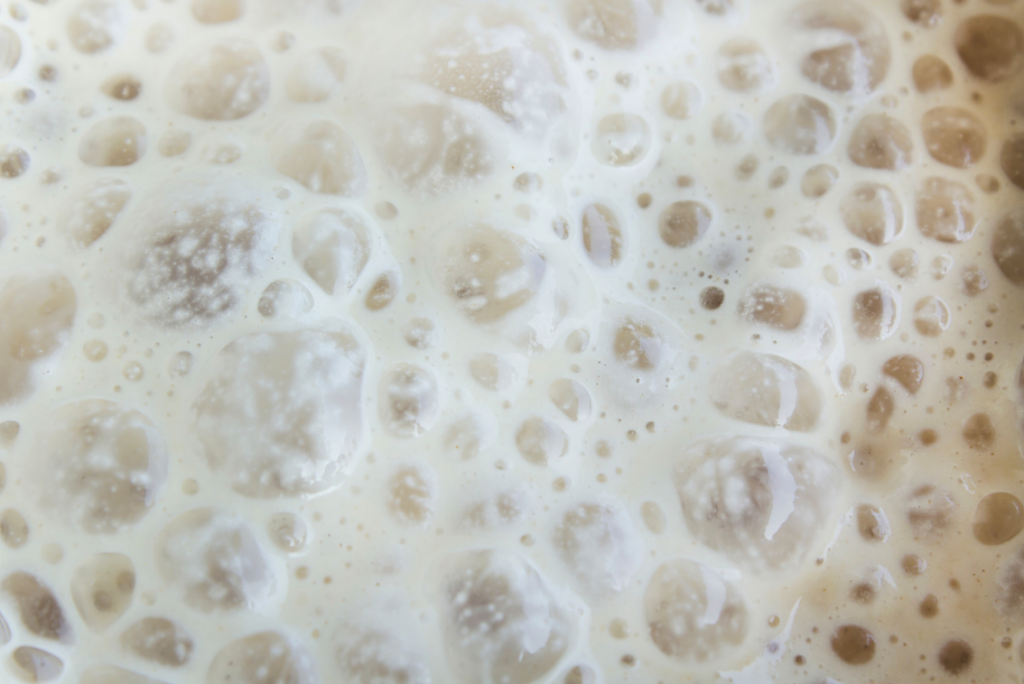 Very close up image of active, bubbly sourdough starter