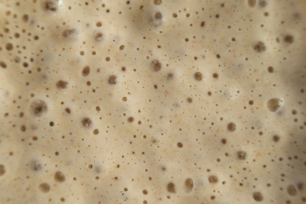 close up of active, bubbly sourdough starter