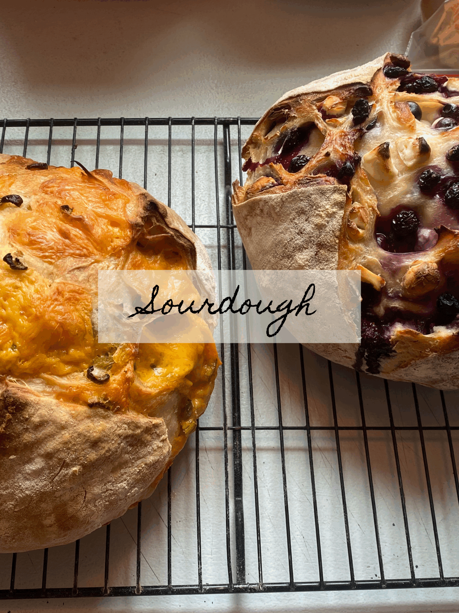 sourdough recipes image
